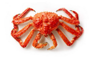 king-crab (1).png