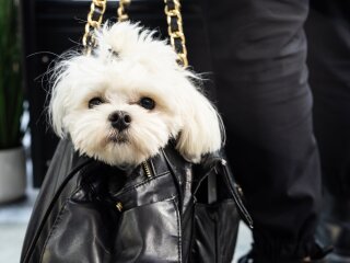 HORECA2024 2 (20).jpg