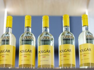 horeca2024 6 (3).jpg