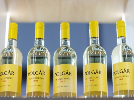 horeca2024 6 (3).jpg