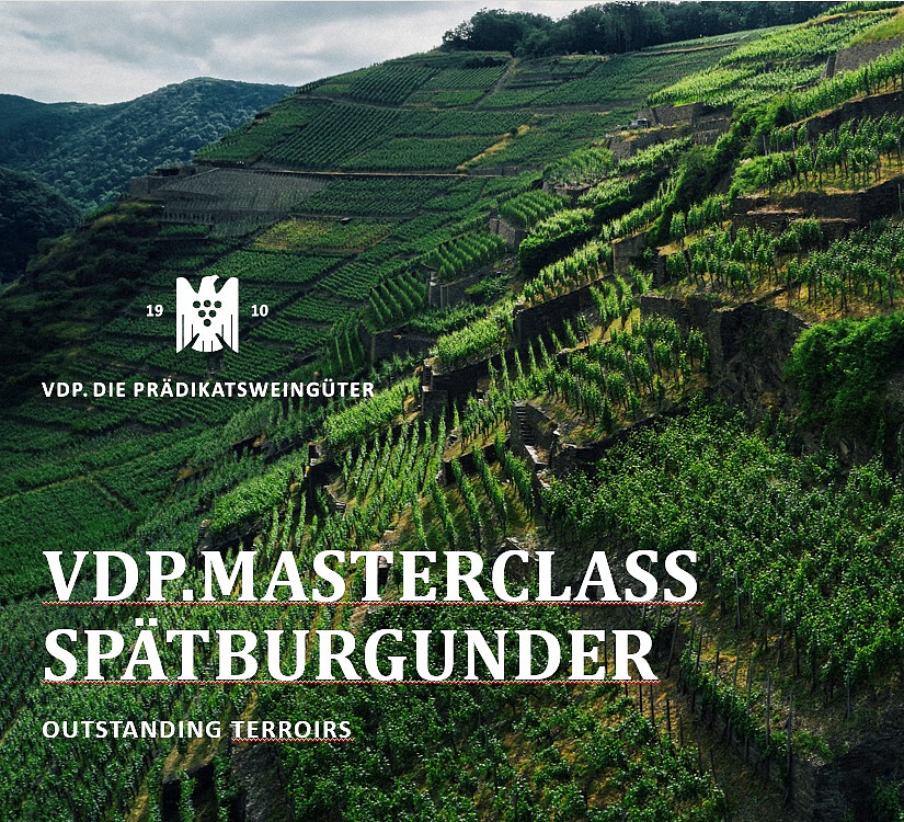 565358080_25861241463464490_4610102084785206700_n.jpg [370.80 KB]