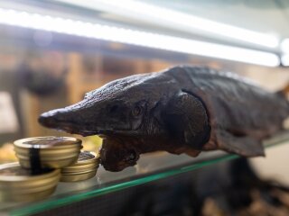 HORECA ENOEXPO 2025 (55).jpg