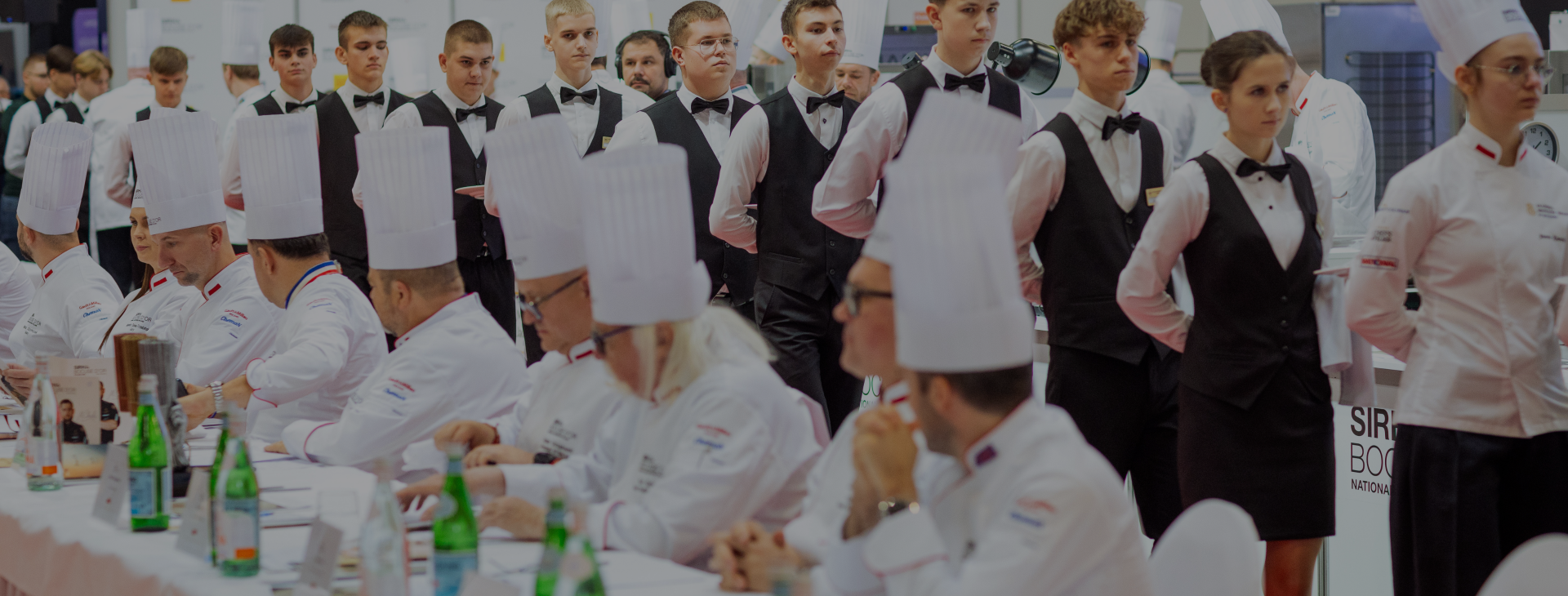 HORECA konkursy (2).png